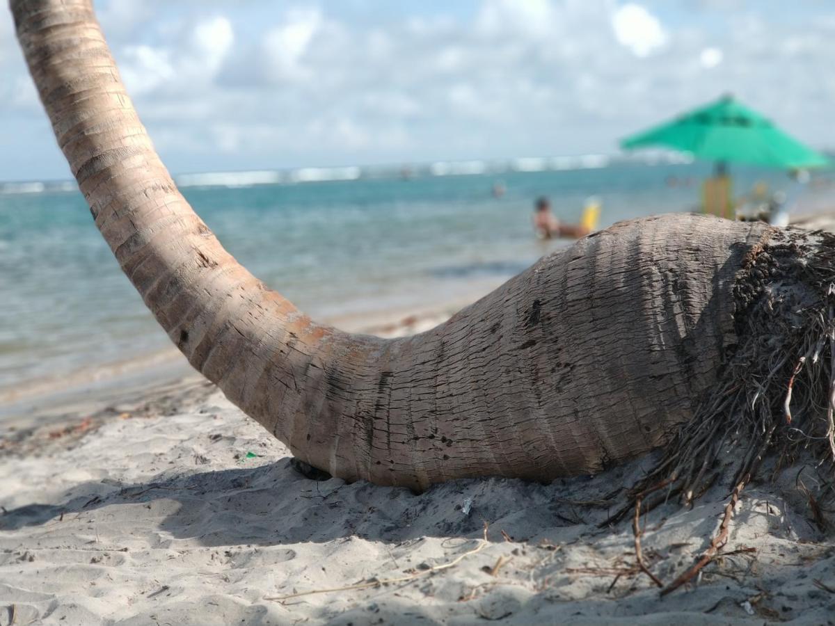 Polinesia Beira Mar Muro Alto 公寓 Pôrto das Galinhas